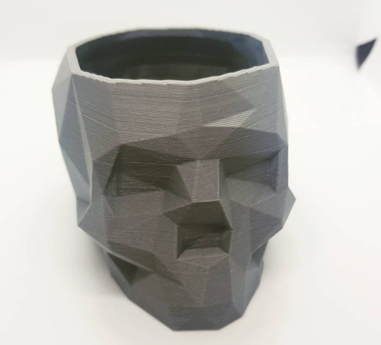 Imagen maceta calabera